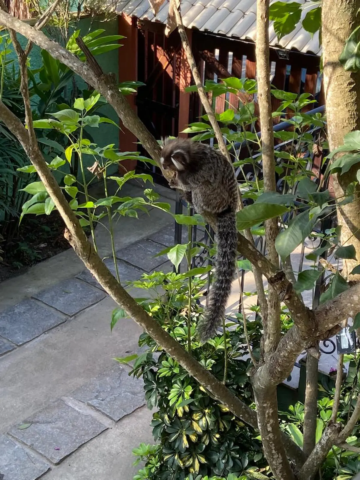 Área externa da Vila Venina em Itaipuaçu