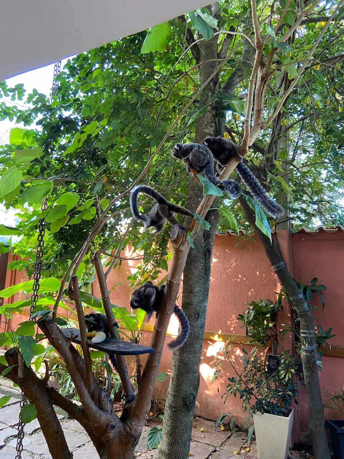 Área externa da Vila Venina em Itaipuaçu